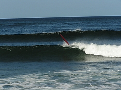 P3200031.jpg