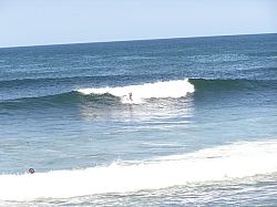 P3200048.jpg