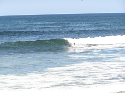 P3200051.jpg