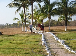 P3250092.jpg