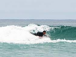 IMG_2066.jpg