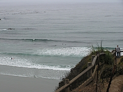 P7310004.jpg