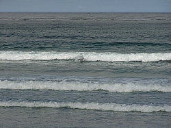 P8020065.jpg
