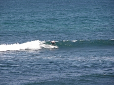 P3130001.jpg