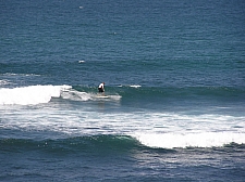 P3130005.jpg