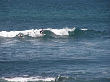 P3130034.jpg