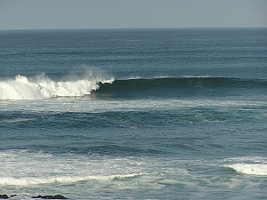 P1010009.JPG