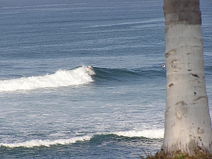 P1010015.JPG
