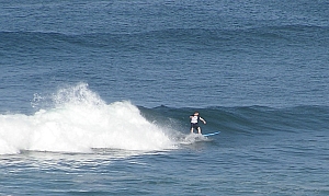 P1010023_crop.jpg